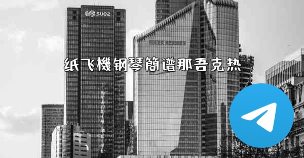 纸飞機钢琴簡谱那吾克热