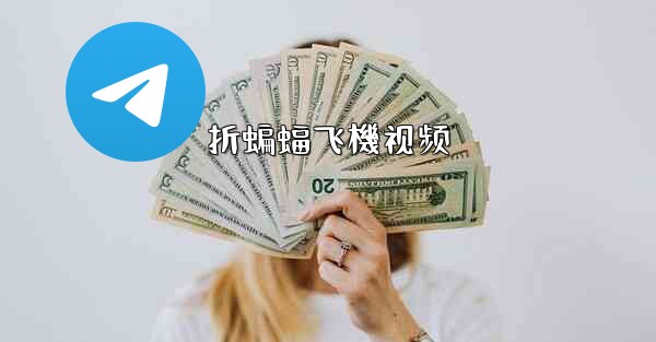 折蝙蝠飞機视频