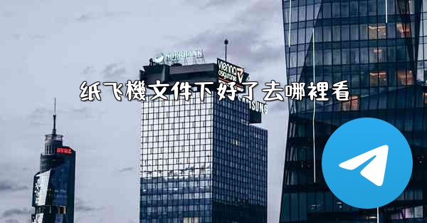 纸飞機文件下好了去哪裡看