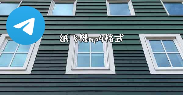 纸飞機mp4格式