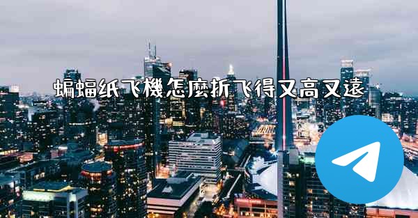 蝙蝠纸飞機怎麼折飞得又高又遠