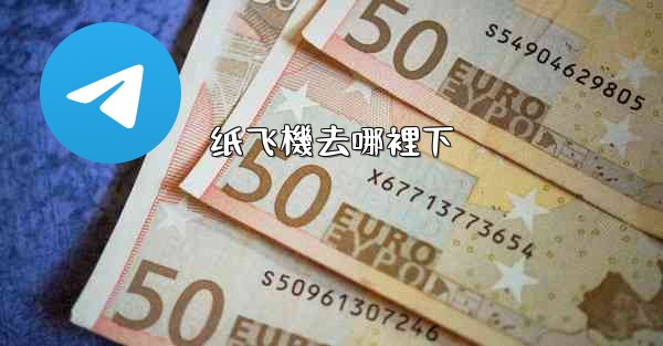 <b>纸飞機去哪裡下</b>