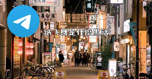 纸飞機是什麼黑话