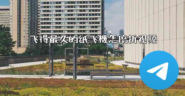 飞得最久的纸飞機怎麼折视频