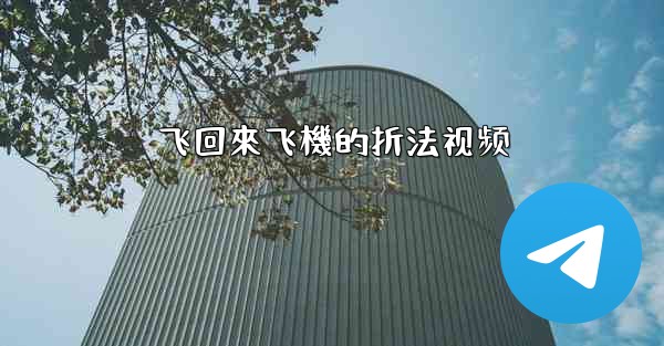 飞回來飞機的折法视频