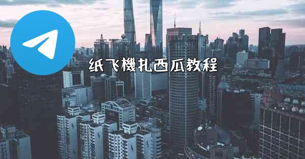 纸飞機扎西瓜教程