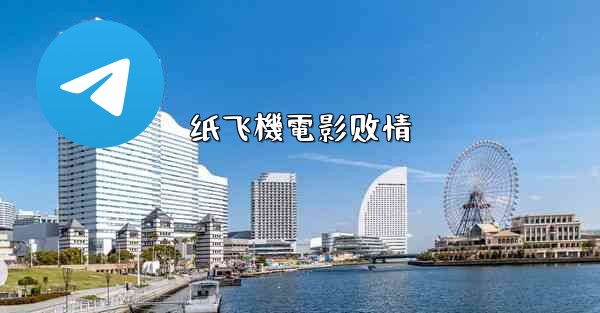 纸飞機電影剧情