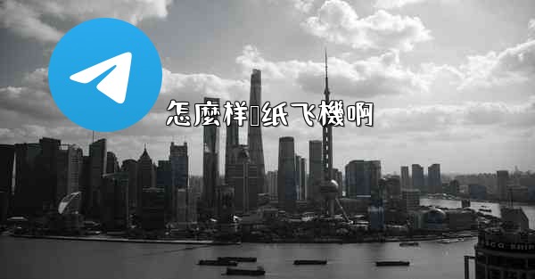 怎麼样叠纸飞機啊