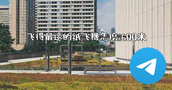 飞得最遠的纸飞機怎麼叠600米