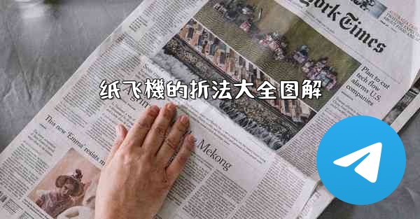 <b>纸飞機的折法大全图解</b>