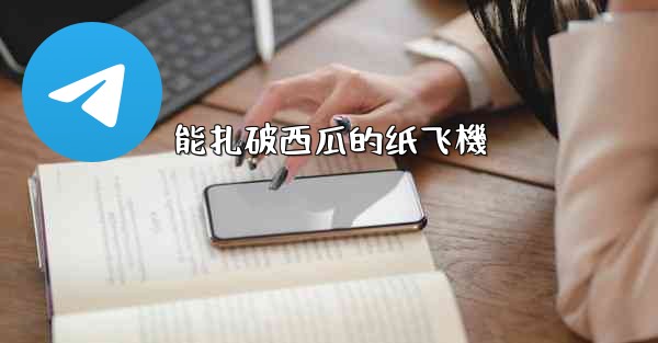 能扎破西瓜的纸飞機