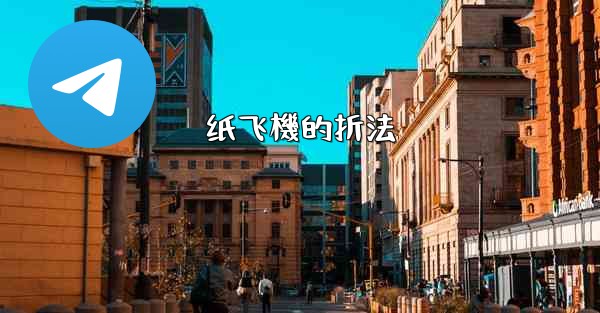 <b>纸飞機的折法</b>