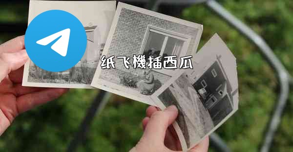 纸飞機插西瓜