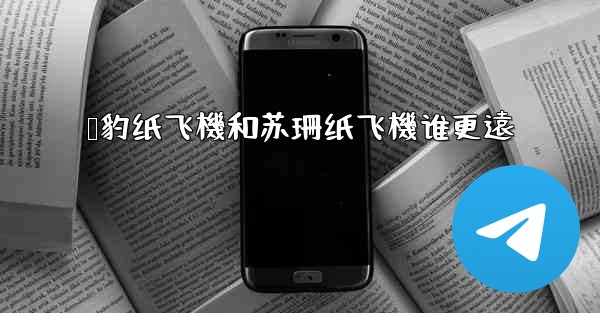猎豹纸飞機和苏珊纸飞機谁更遠
