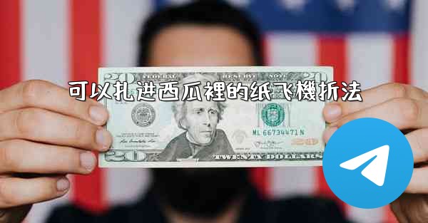 可以扎进西瓜裡的纸飞機折法