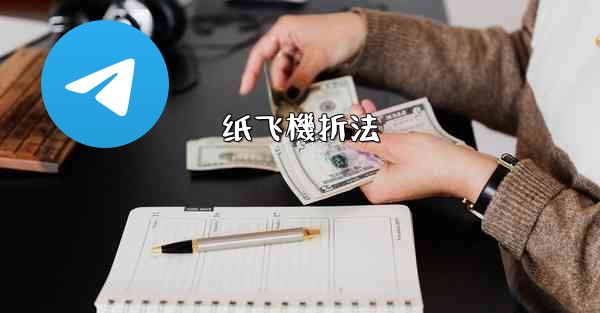 <b>纸飞機折法</b>