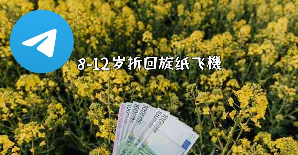 8-12岁折回旋纸飞機