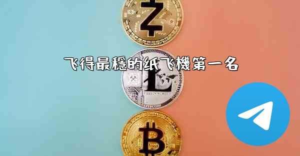 飞得最穩的纸飞機第一名