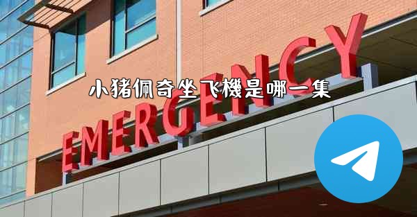 小猪佩奇坐飞機是哪一集