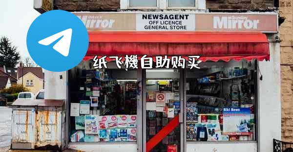 纸飞機自助购买