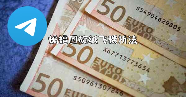 蝙蝠回旋纸飞機折法