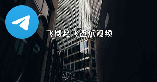 <b>飞機起飞西瓜视频</b>