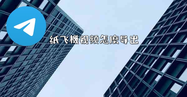 纸飞機视频怎麼导出