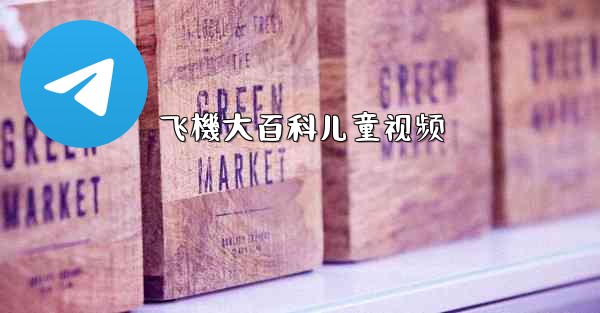 飞機大百科儿童视频