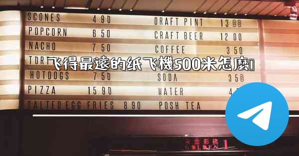 飞得最遠的纸飞機500米怎麼叠