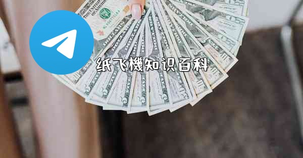 <b>纸飞機知识百科</b>