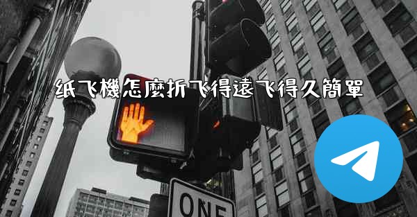 纸飞機怎麼折飞得遠飞得久簡單