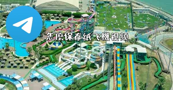 怎麼保存纸飞機视频