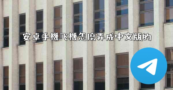 安卓手機飞機怎麼弄成中文版的