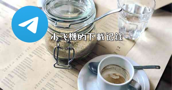 小飞機的下載记錄