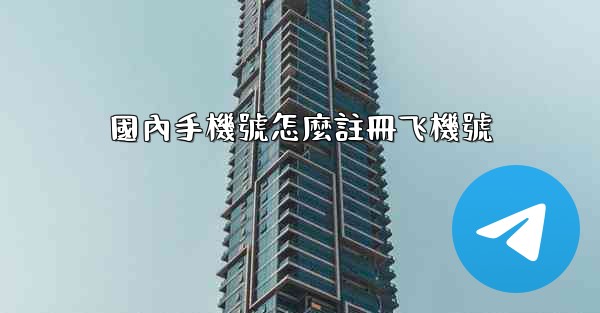 國內手機號怎麼註冊飞機號
