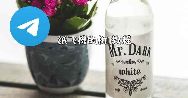 纸飞機的折叠教程