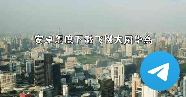 <b>安卓怎麼下載飞機大厨华為</b>