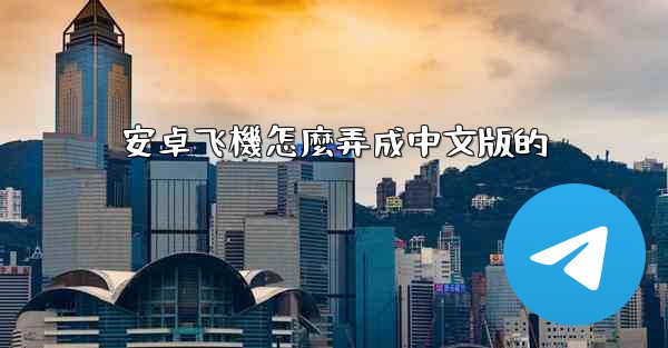 安卓飞機怎麼弄成中文版的