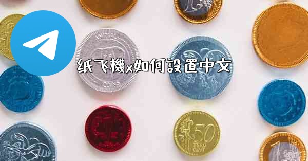 <b>纸飞機x如何設置中文</b>