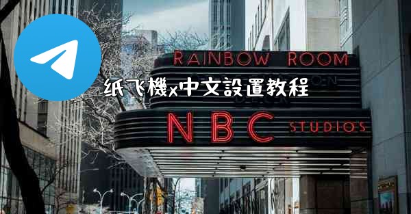 纸飞機x中文設置教程