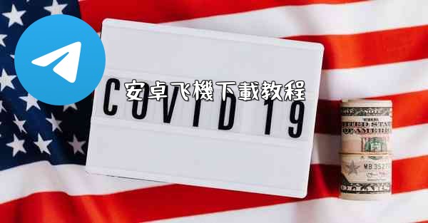 安卓飞機下載教程