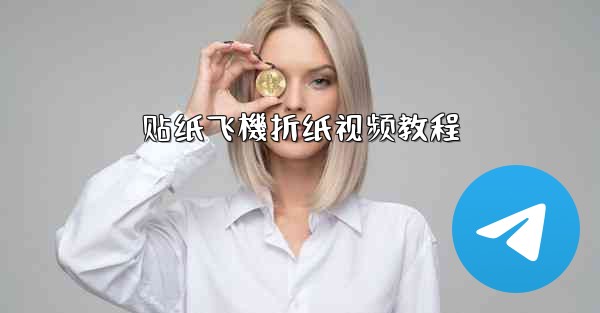 贴纸飞機折纸视频教程