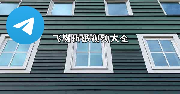 飞機折纸视频大全