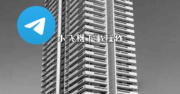 小飞機下載操作