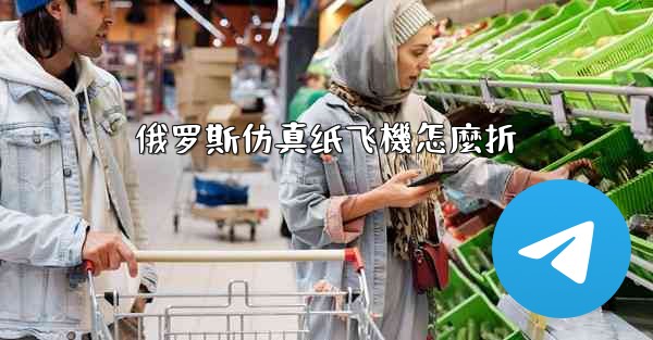 俄罗斯仿真纸飞機怎麼折