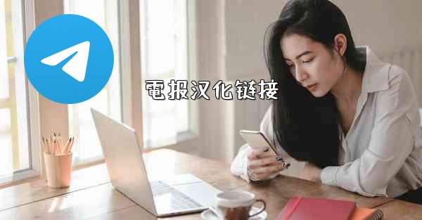 <b>電报汉化链接</b>