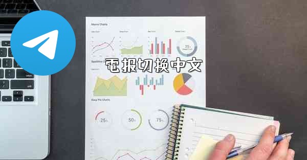 電报切换中文