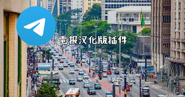 電报汉化版插件