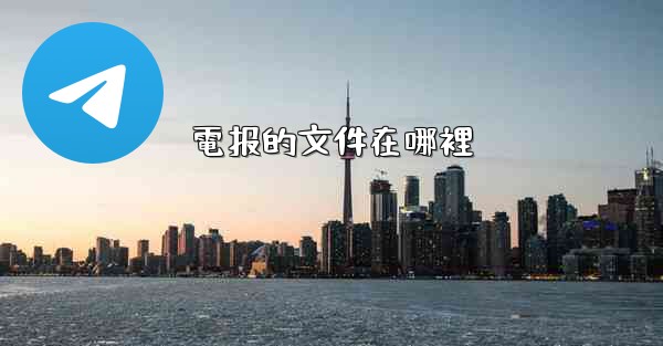 電报的文件在哪裡