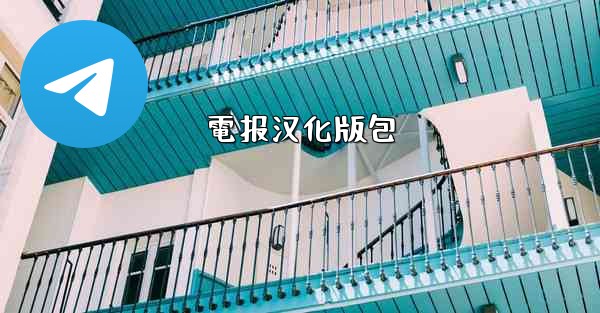 電报汉化版包